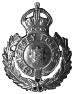 Jersey Police badge